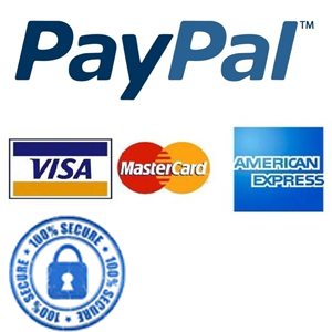 Payment Methods that we accept is PAYPAL